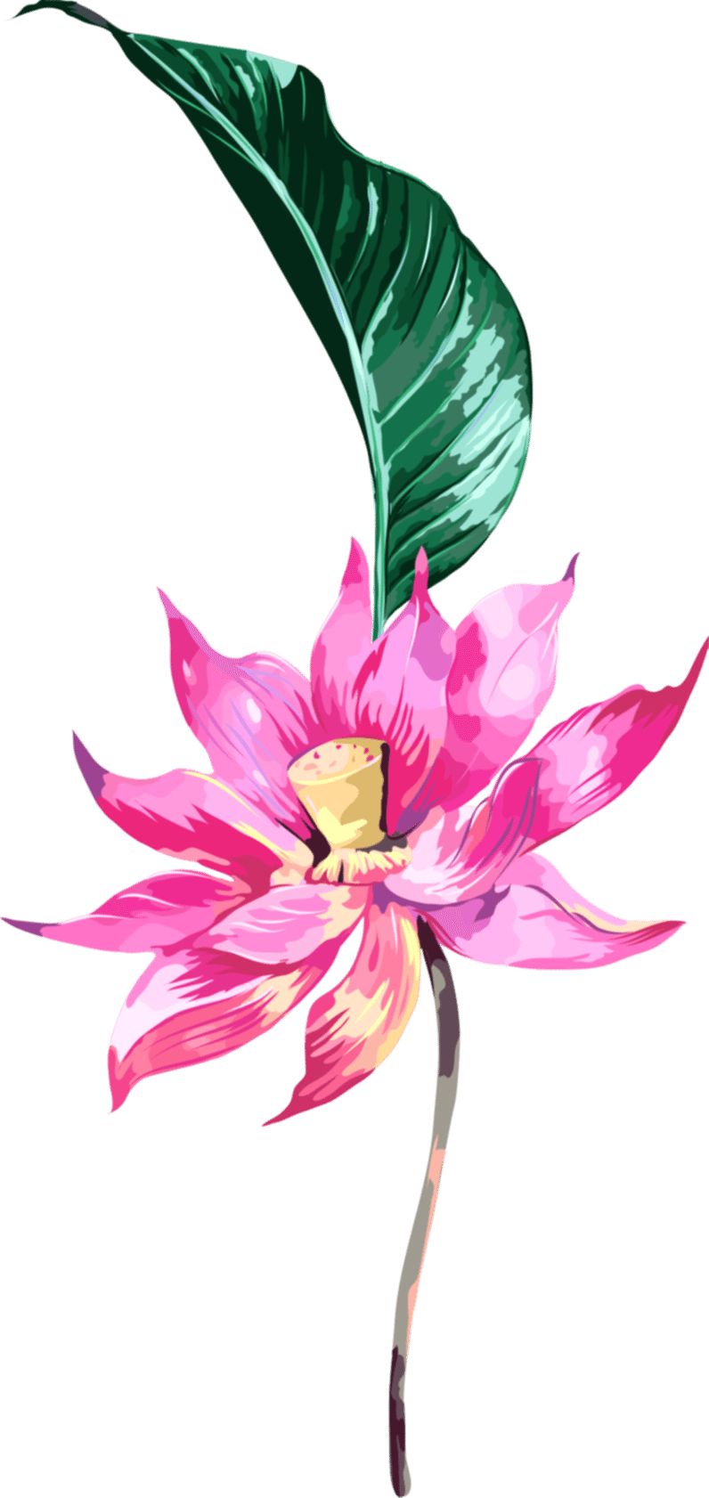 a